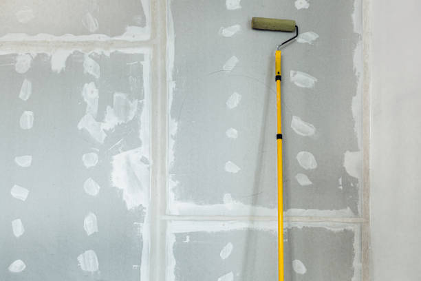 Best Asbestos and Lead Testing During Mold Inspection  in Williamsport, MD