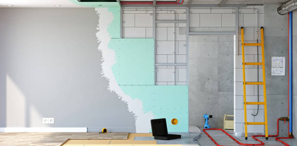 Best Biohazard Mold Removal  in Williamsport, MD