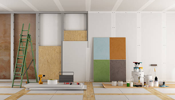 Best Basement Mold Removal  in Williamsport, MD